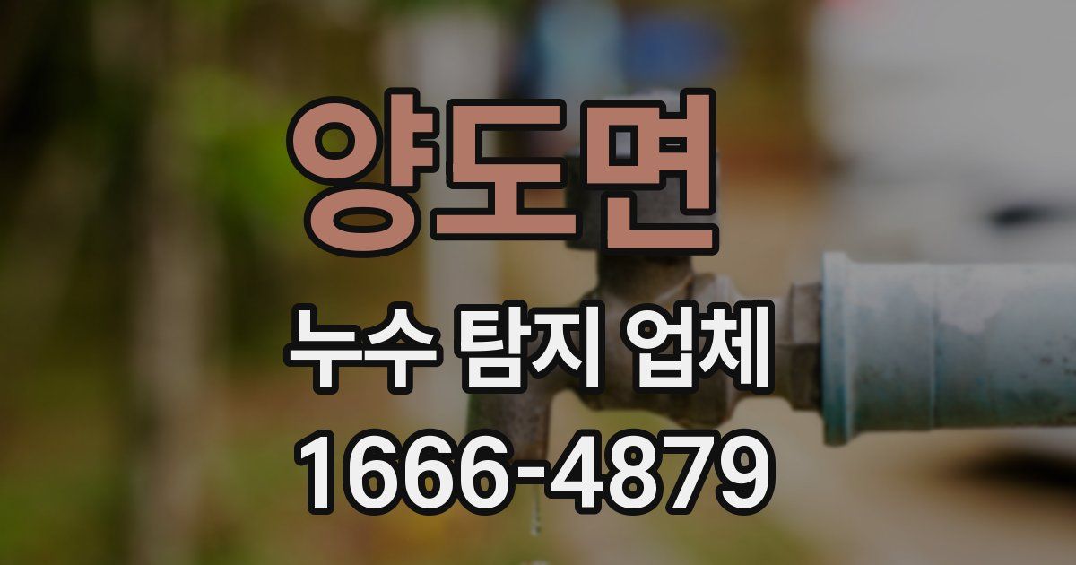 양도면 누수 탐지 업체