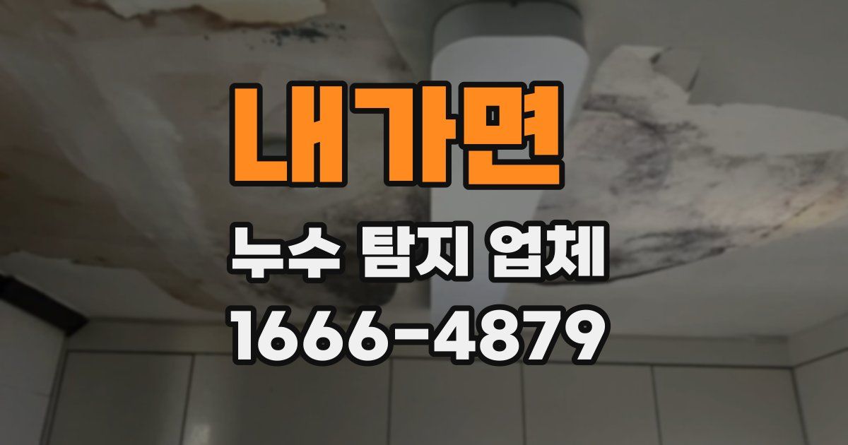 내가면 누수 탐지 업체