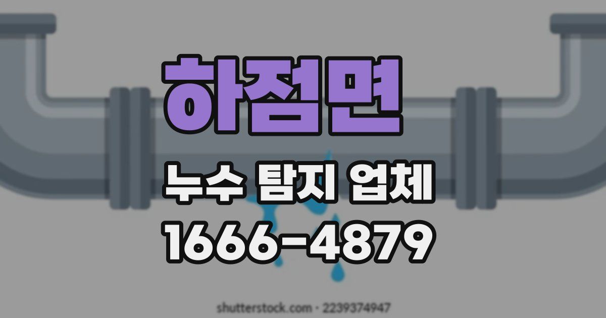 하점면 누수 탐지 업체