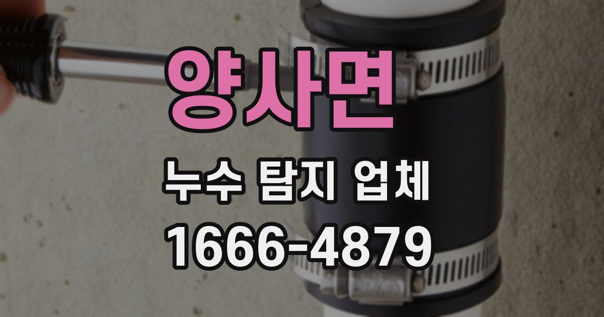 양사면 누수 탐지 업체