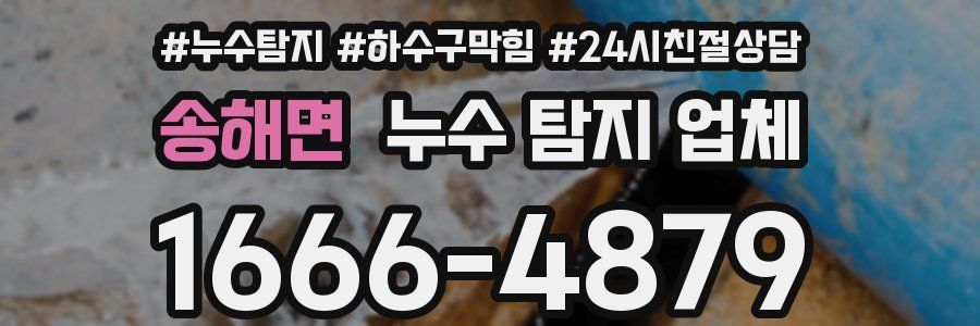 송해면 누수 탐지 업체