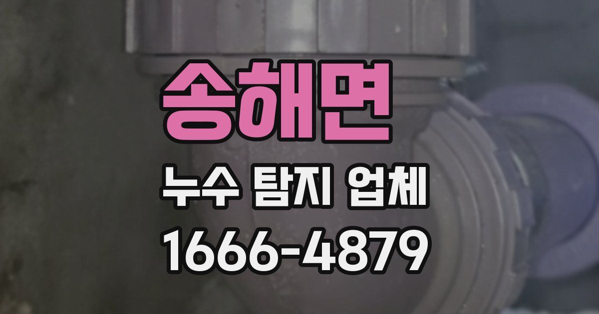 송해면 누수 탐지 업체