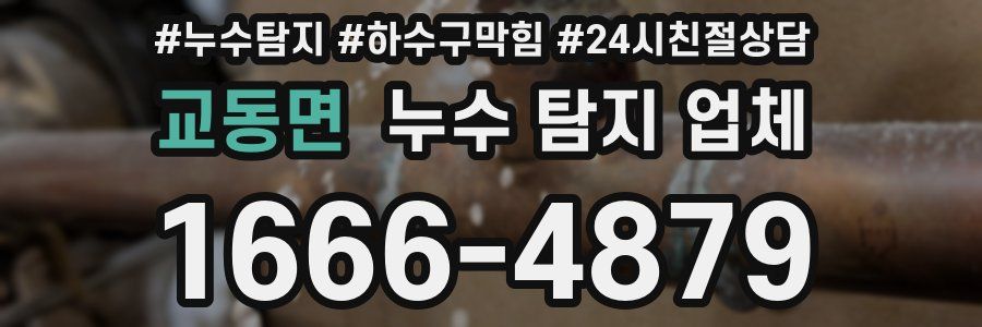 교동면 누수 탐지 업체