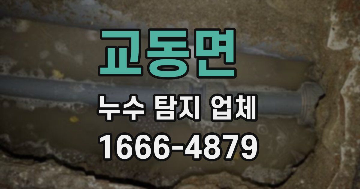 교동면 누수 탐지 업체