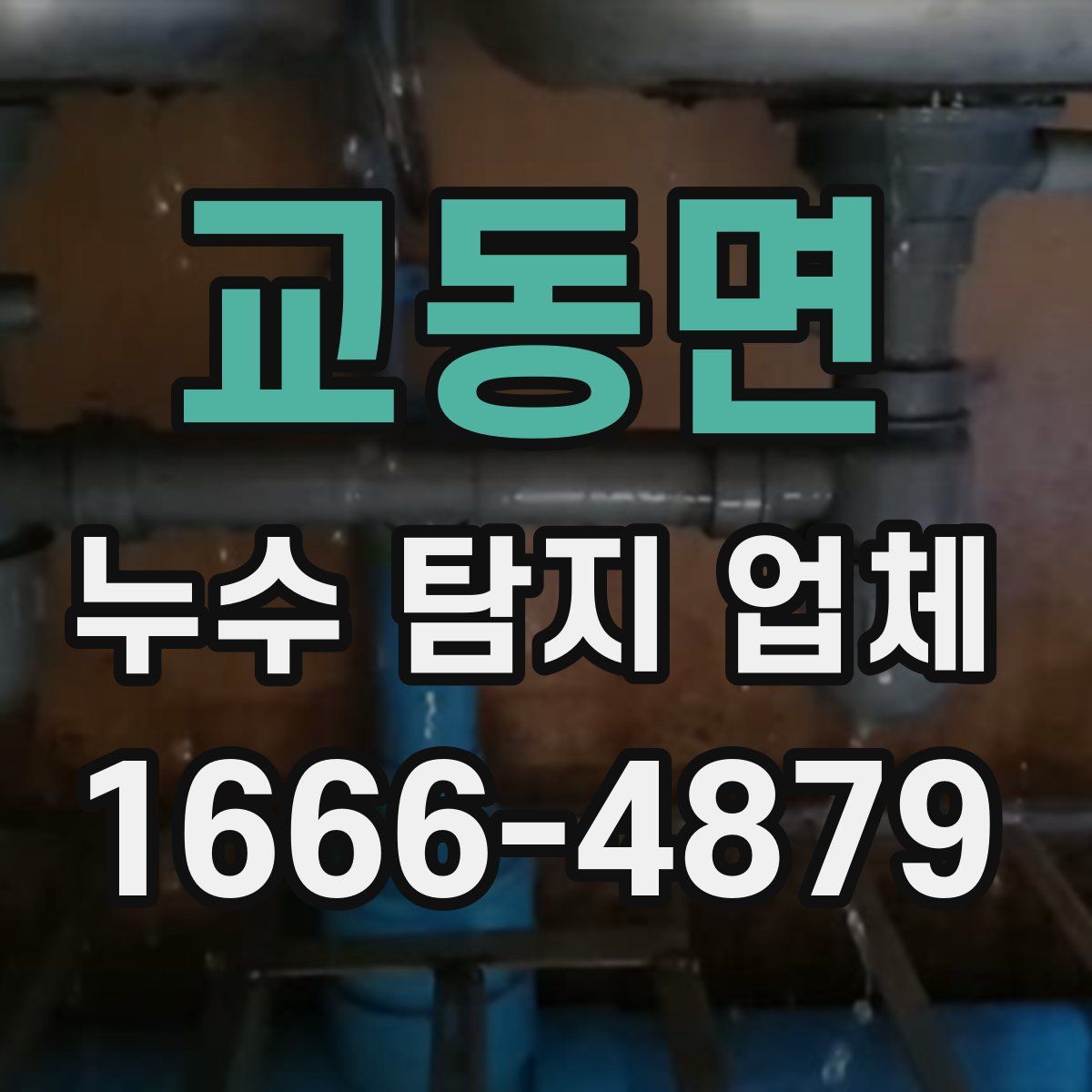 교동면 누수 탐지 업체
