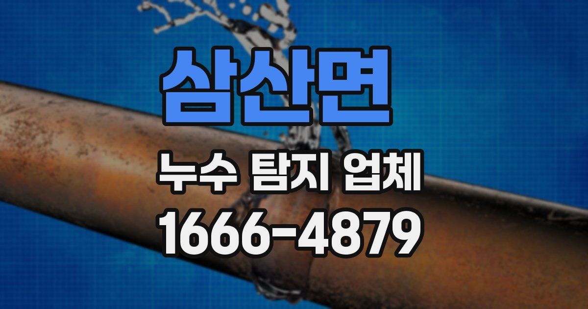 삼산면 누수 탐지 업체