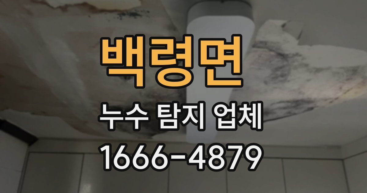백령면 누수 탐지 업체