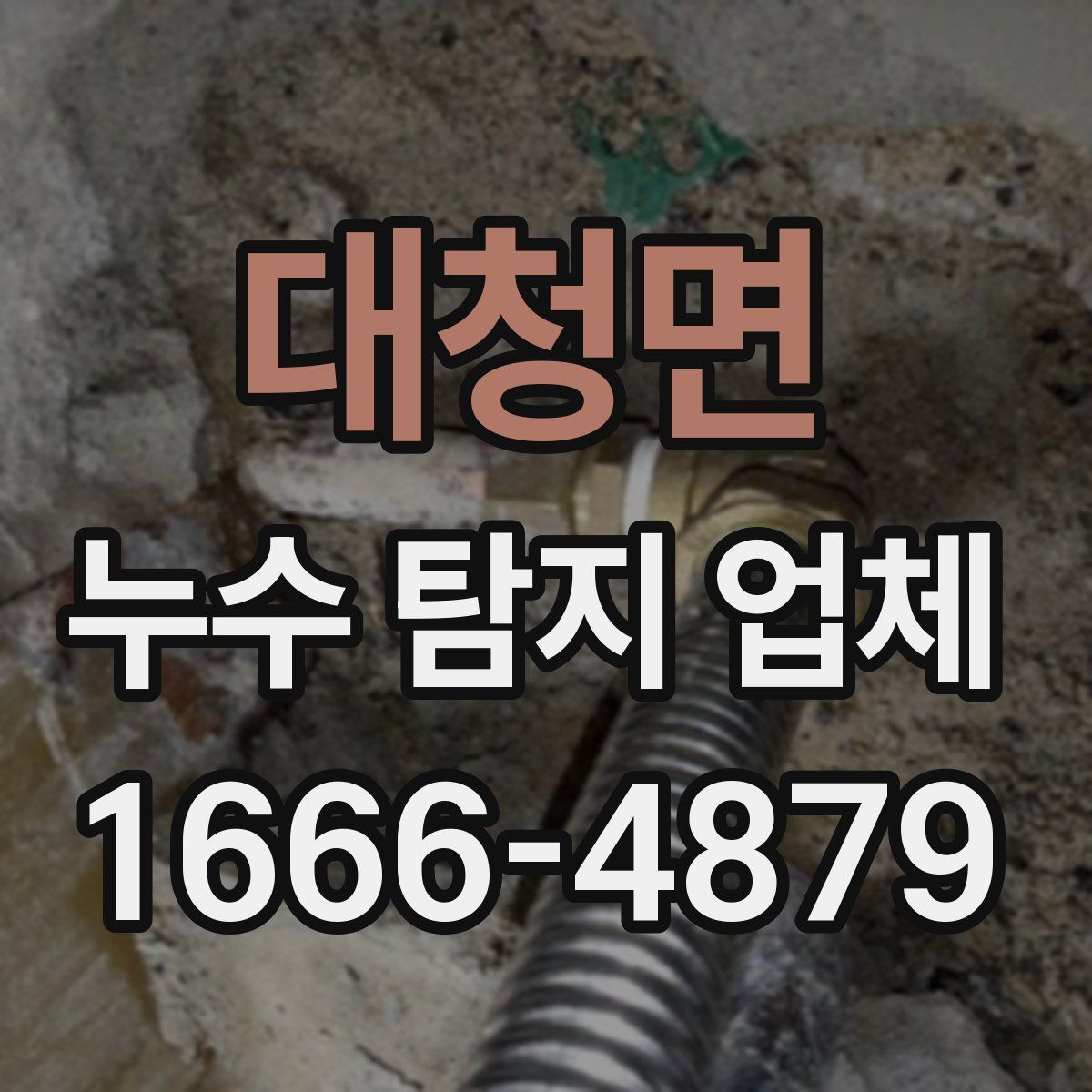 대청면 누수 탐지 업체