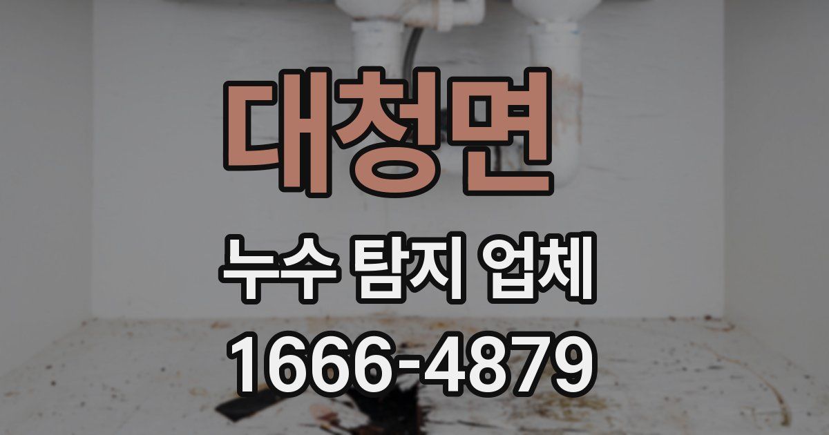 대청면 누수 탐지 업체