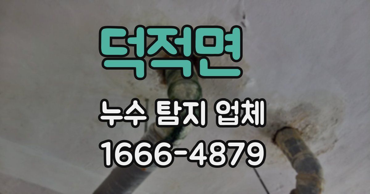 덕적면 누수 탐지 업체