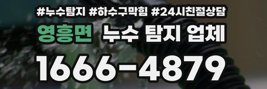 영흥면 누수 탐지 업체