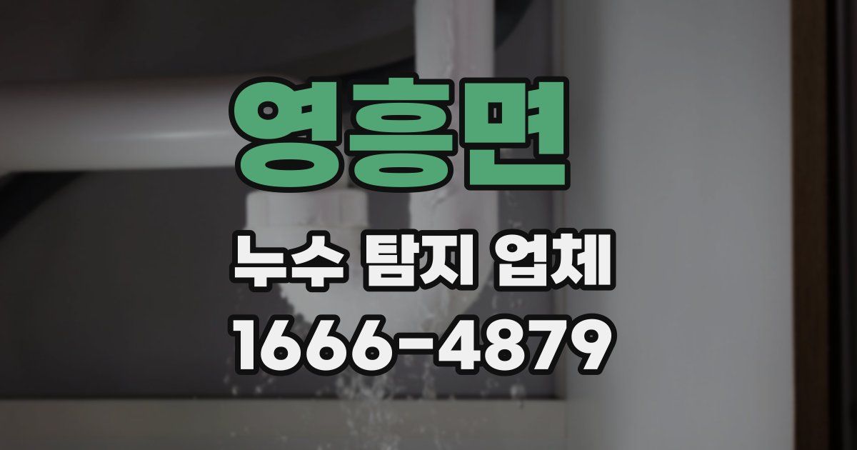 영흥면 누수 탐지 업체