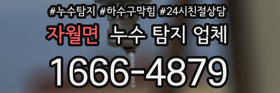 자월면 누수 탐지 업체