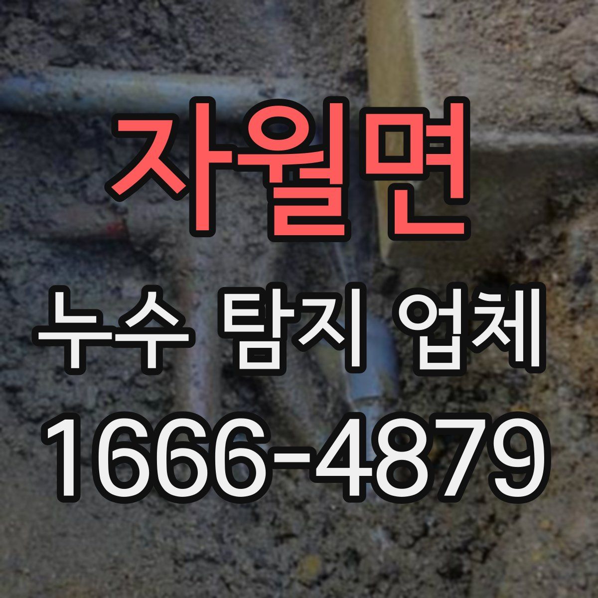 자월면 누수 탐지 업체
