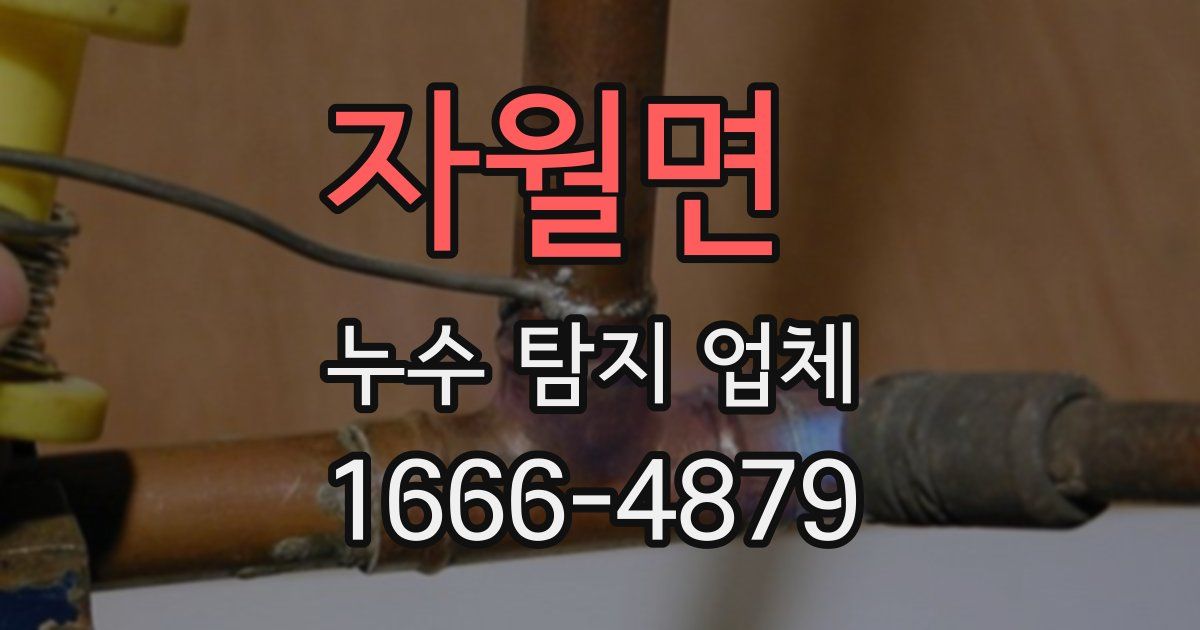 자월면 누수 탐지 업체