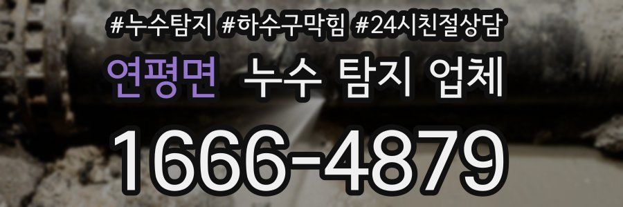 연평면 누수 탐지 업체
