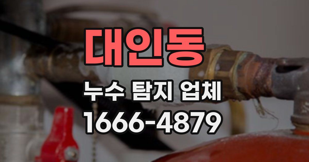 대인동 누수 탐지 업체