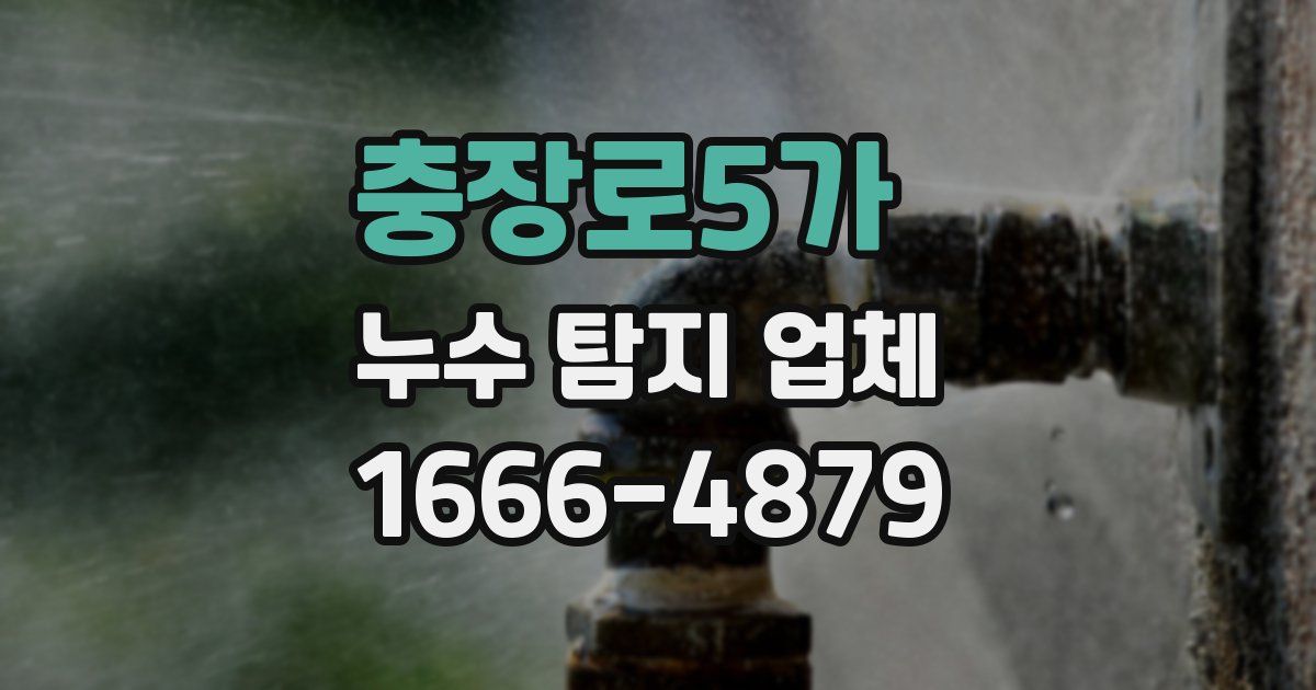 충장로5가 누수 탐지 업체