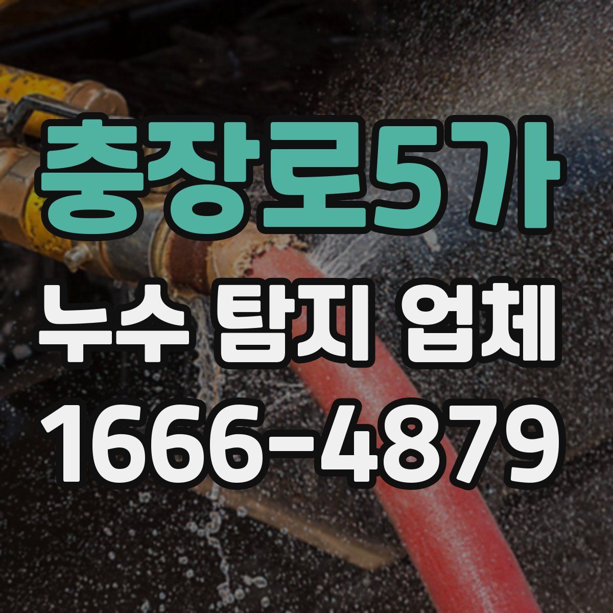 충장로5가 누수 탐지 업체