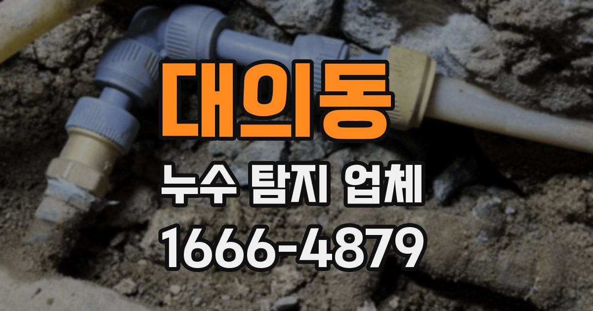 대의동 누수 탐지 업체