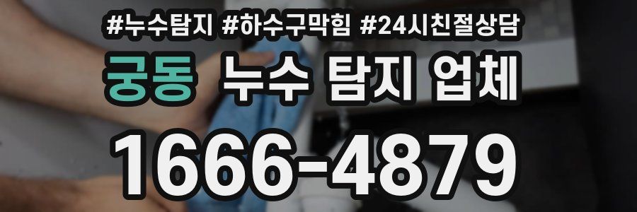 궁동 누수 탐지 업체
