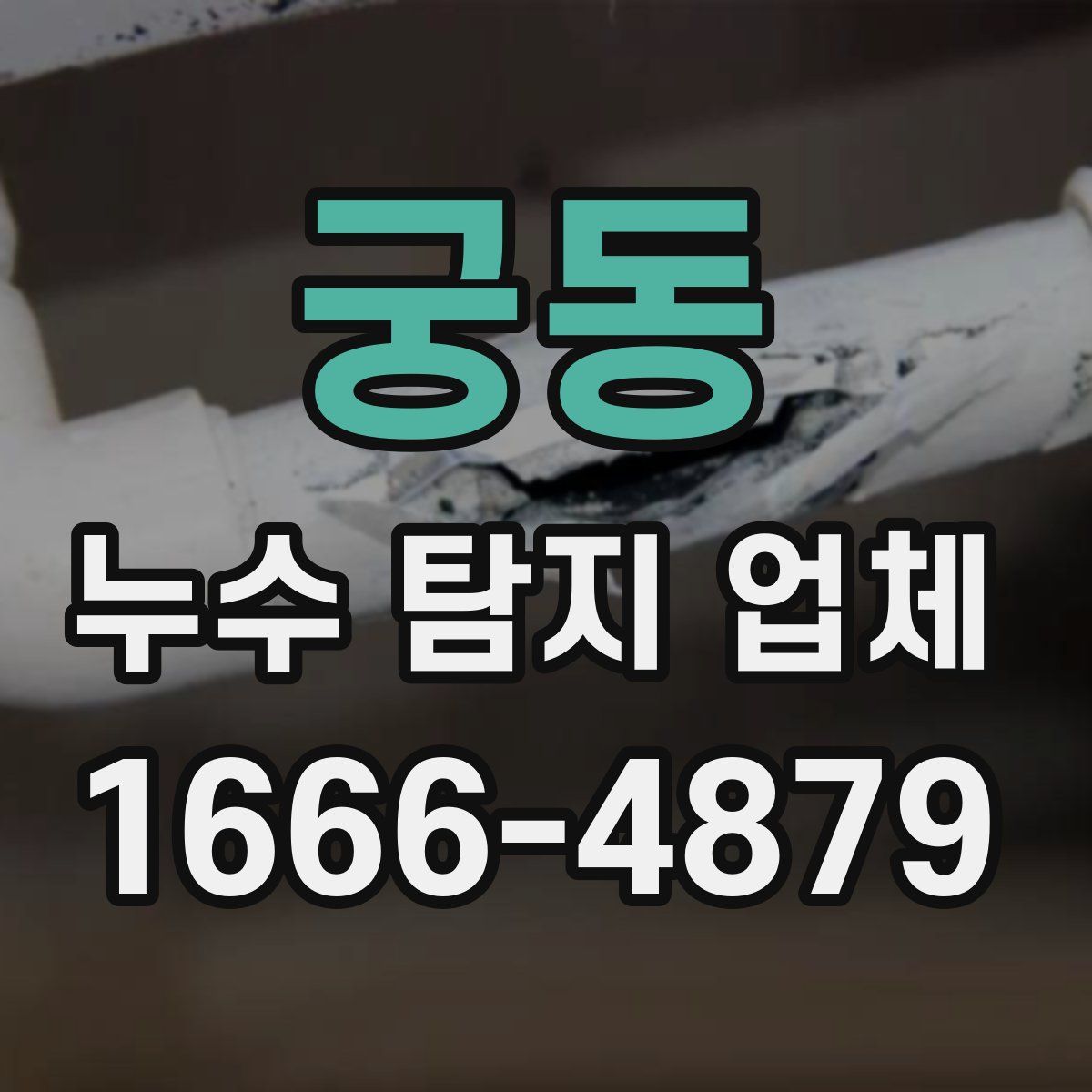 궁동 누수 탐지 업체