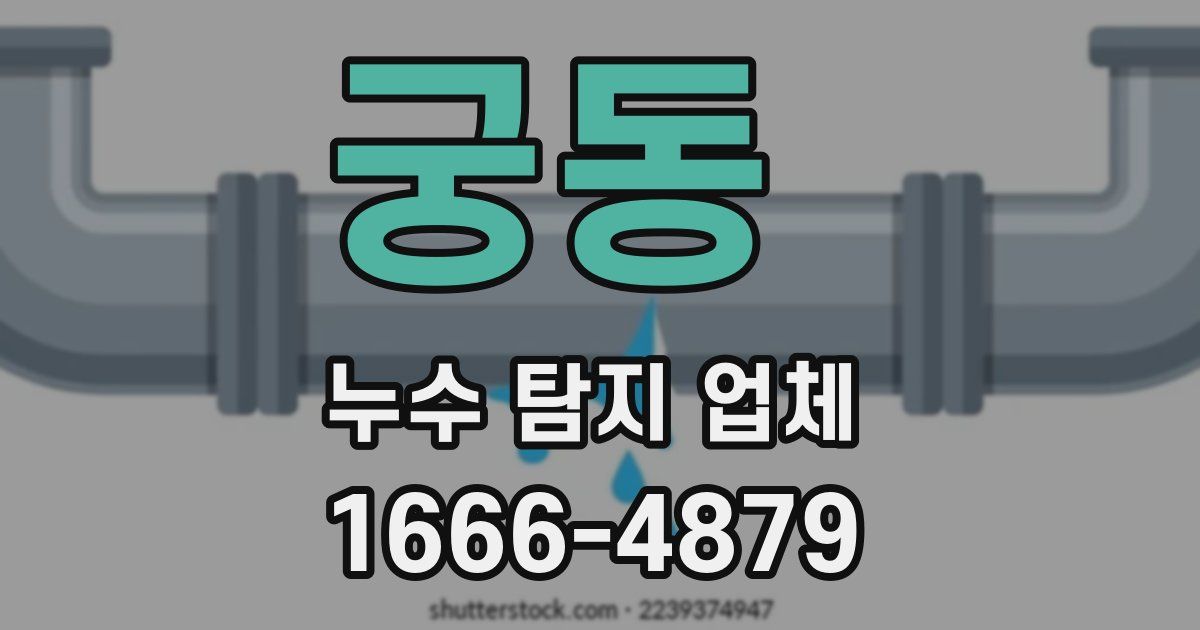 궁동 누수 탐지 업체