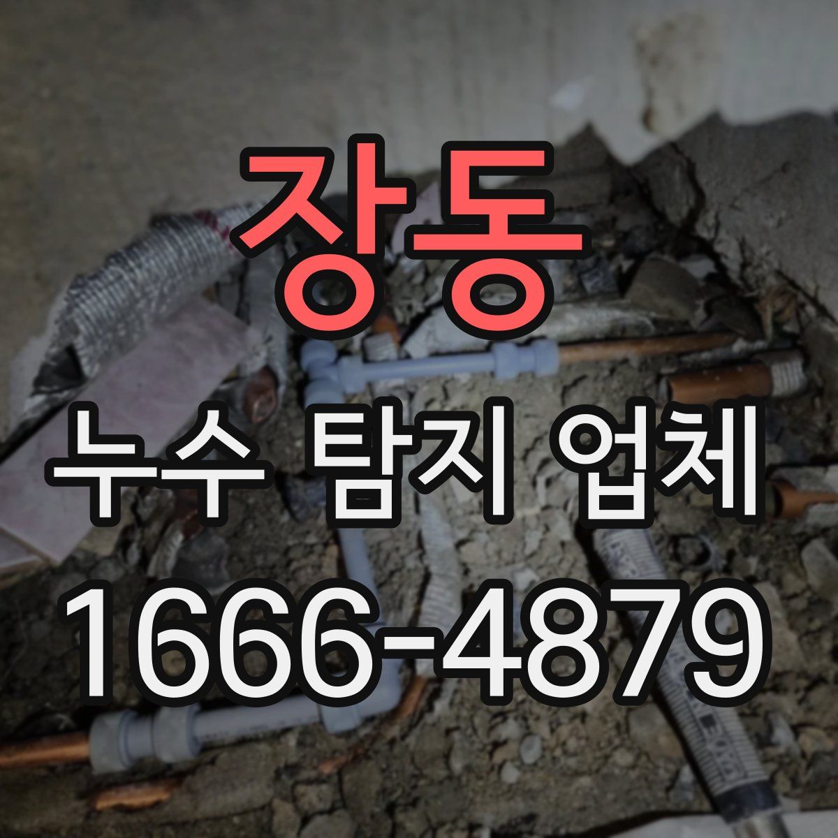 장동 누수 탐지 업체