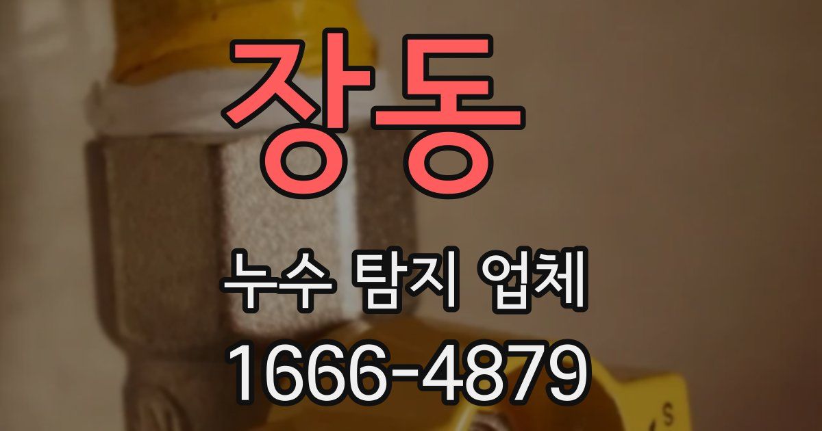 장동 누수 탐지 업체
