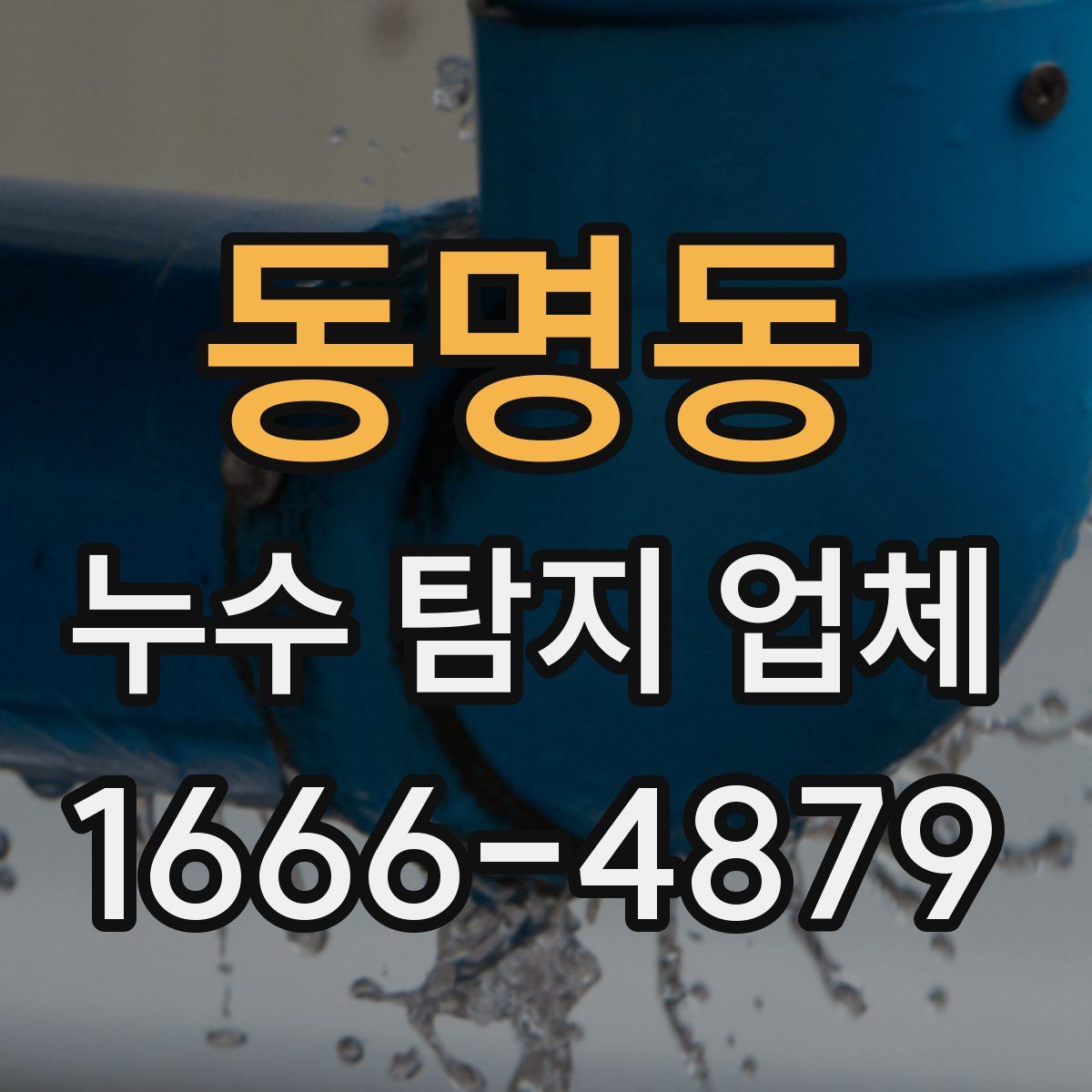 동명동 누수 탐지 업체