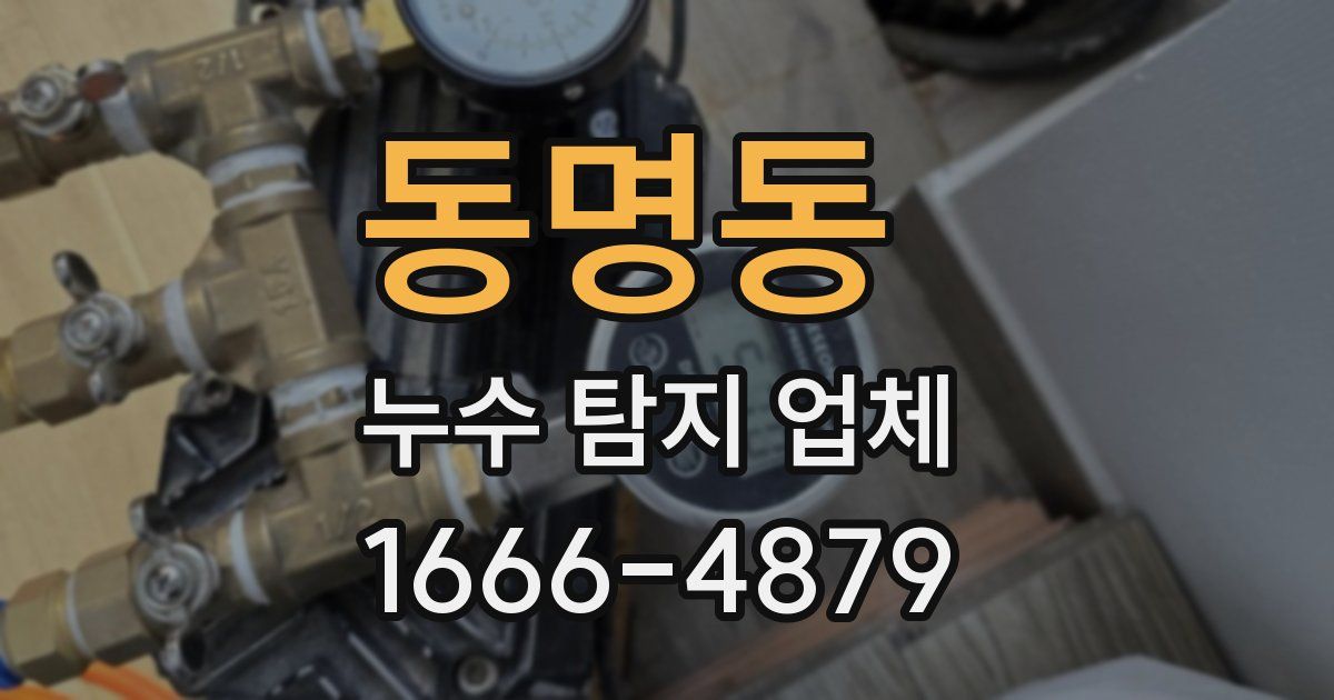 동명동 누수 탐지 업체
