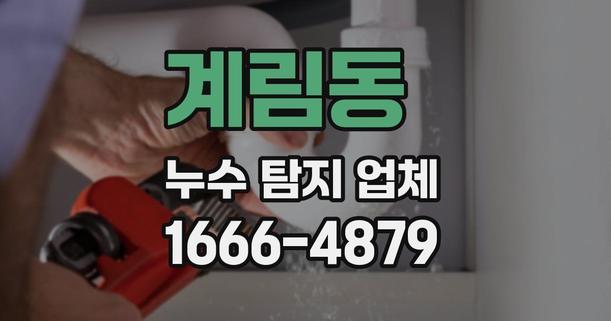 계림동 누수 탐지 업체