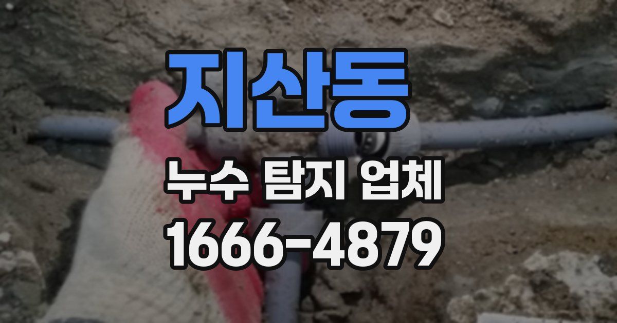 지산동 누수 탐지 업체