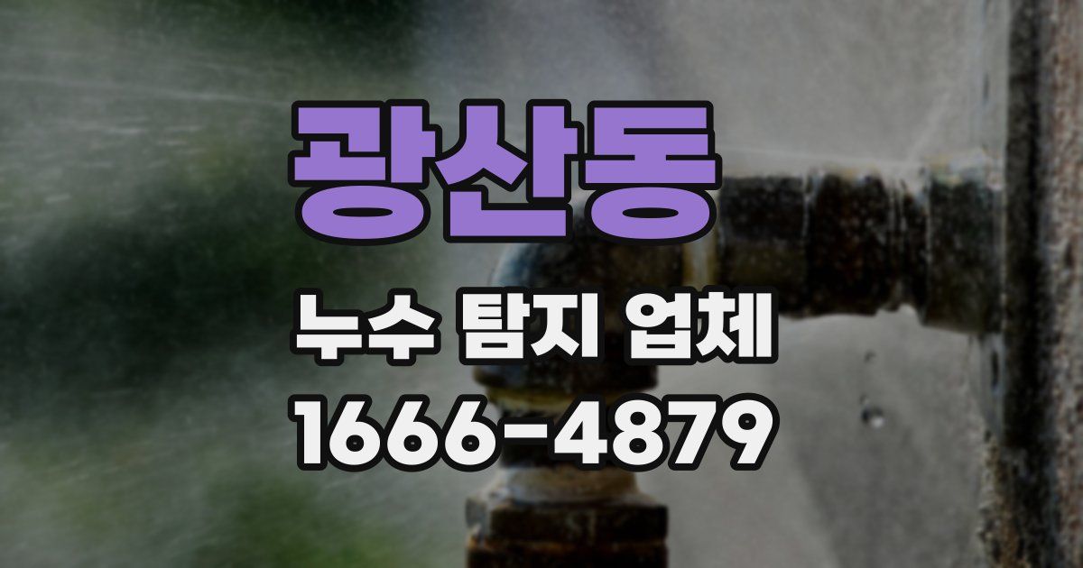 광산동 누수 탐지 업체