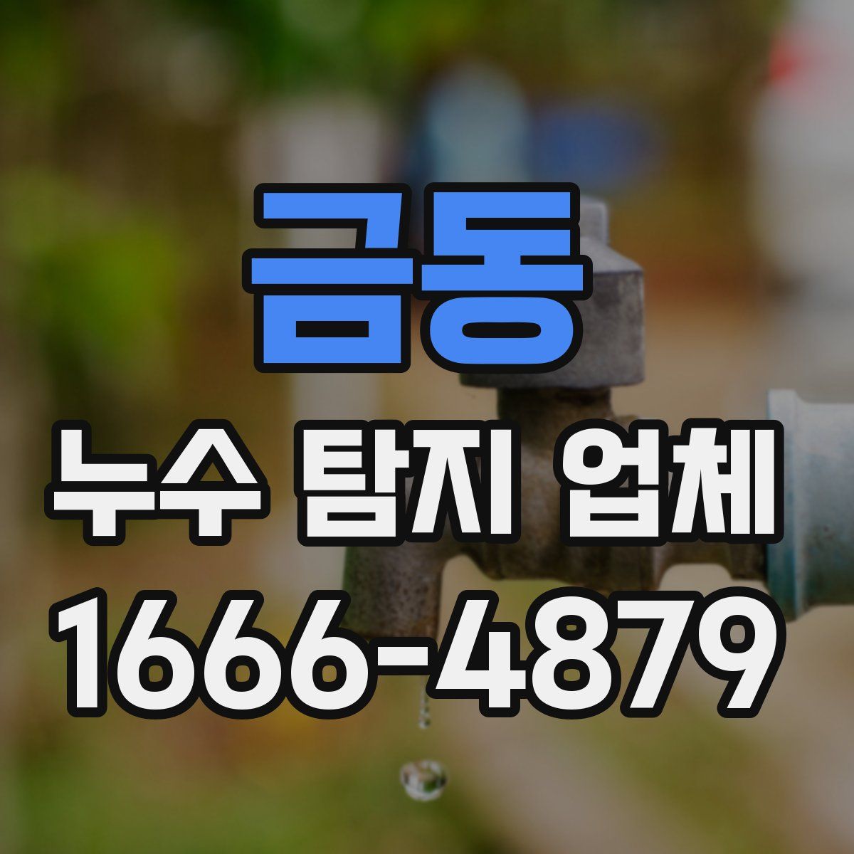 금동 누수 탐지 업체