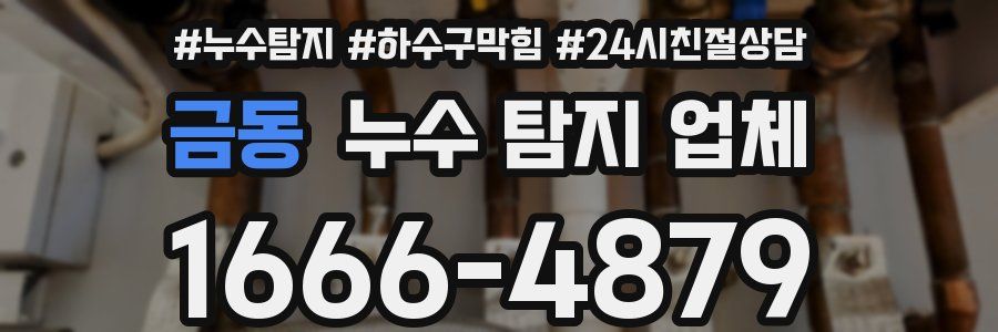 금동 누수 탐지 업체
