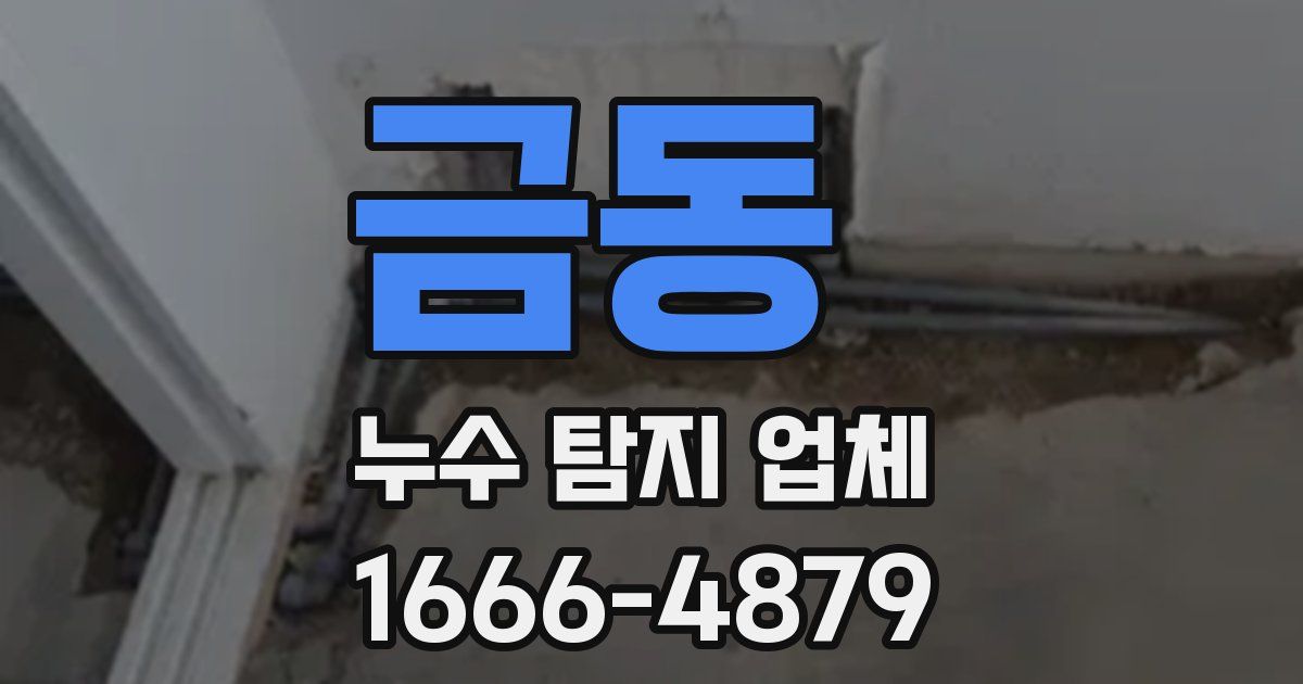 금동 누수 탐지 업체