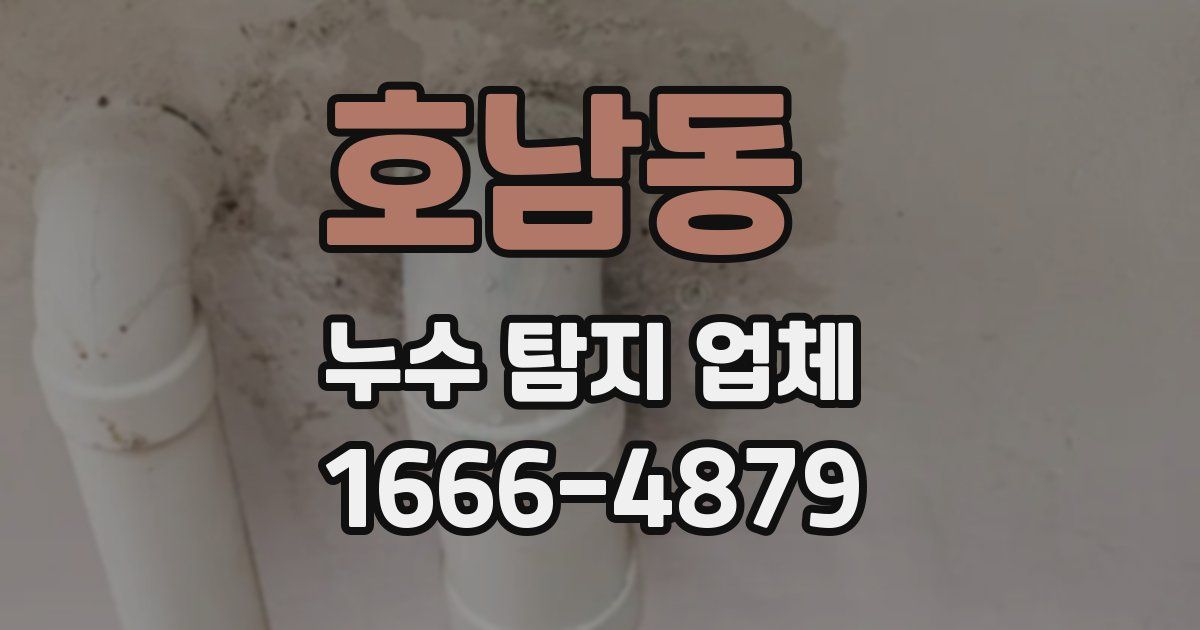 호남동 누수 탐지 업체