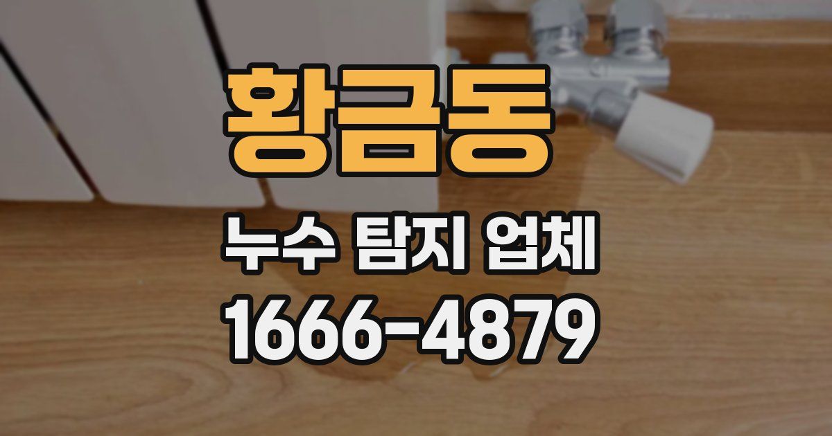 황금동 누수 탐지 업체