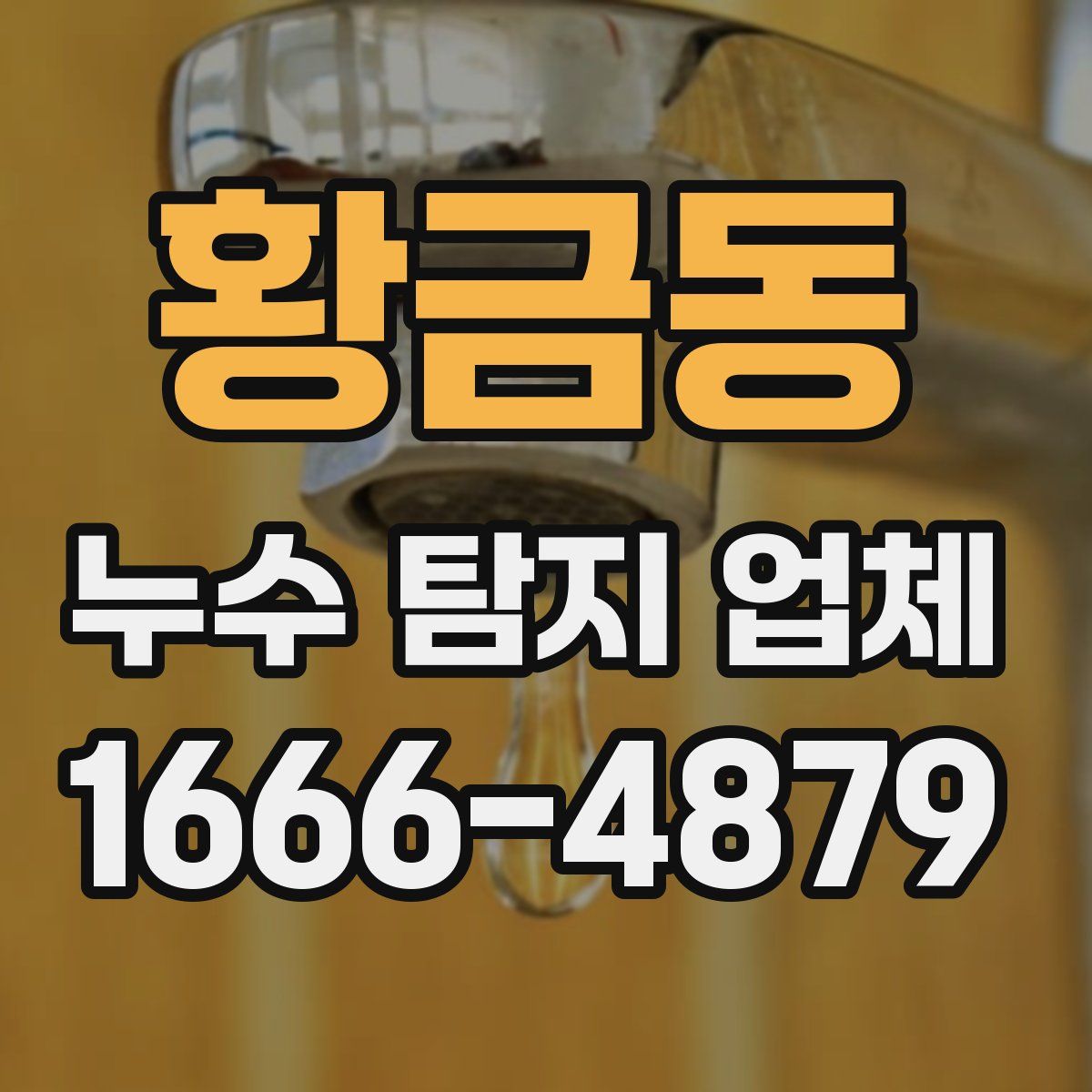 황금동 누수 탐지 업체