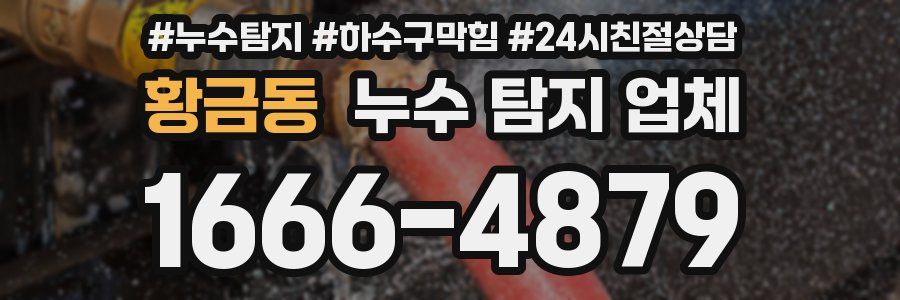 황금동 누수 탐지 업체