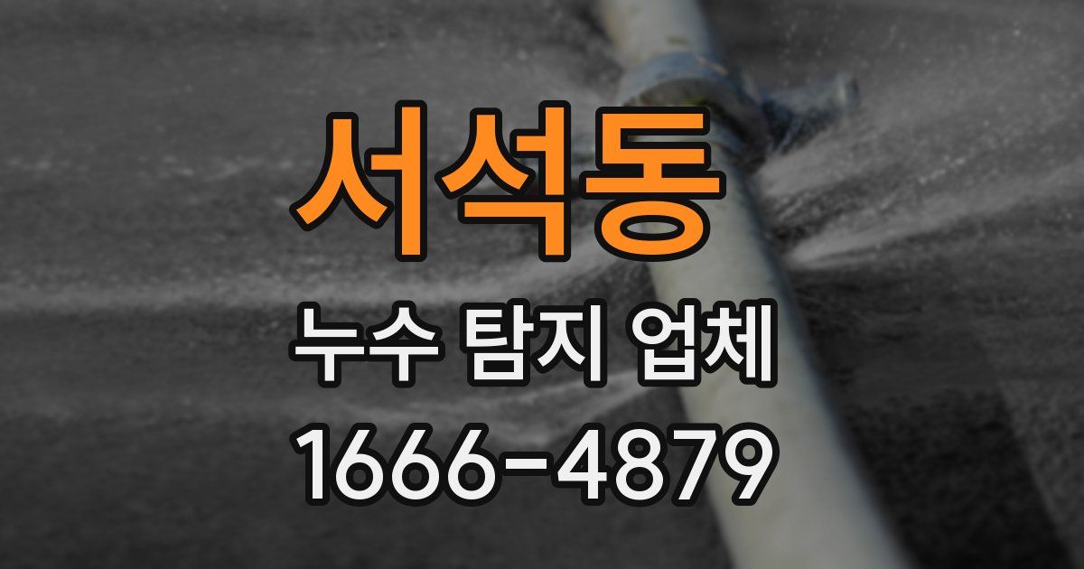 서석동 누수 탐지 업체