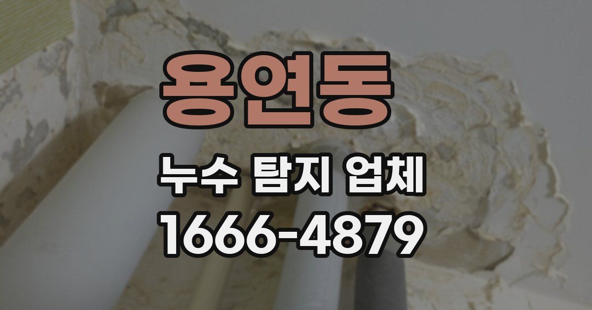 용연동 누수 탐지 업체