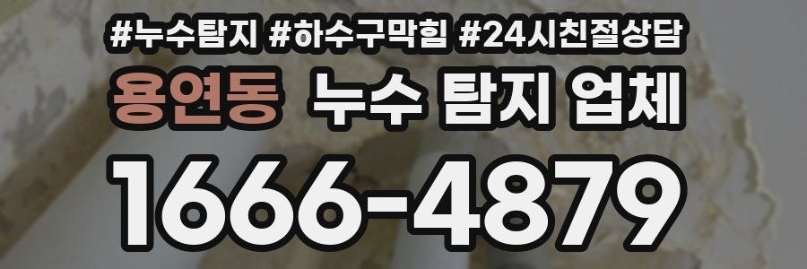 용연동 누수 탐지 업체