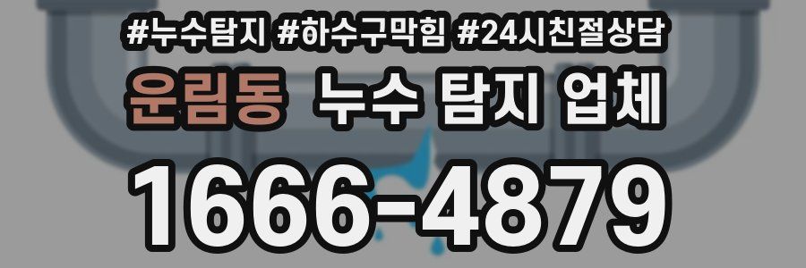 운림동 누수 탐지 업체
