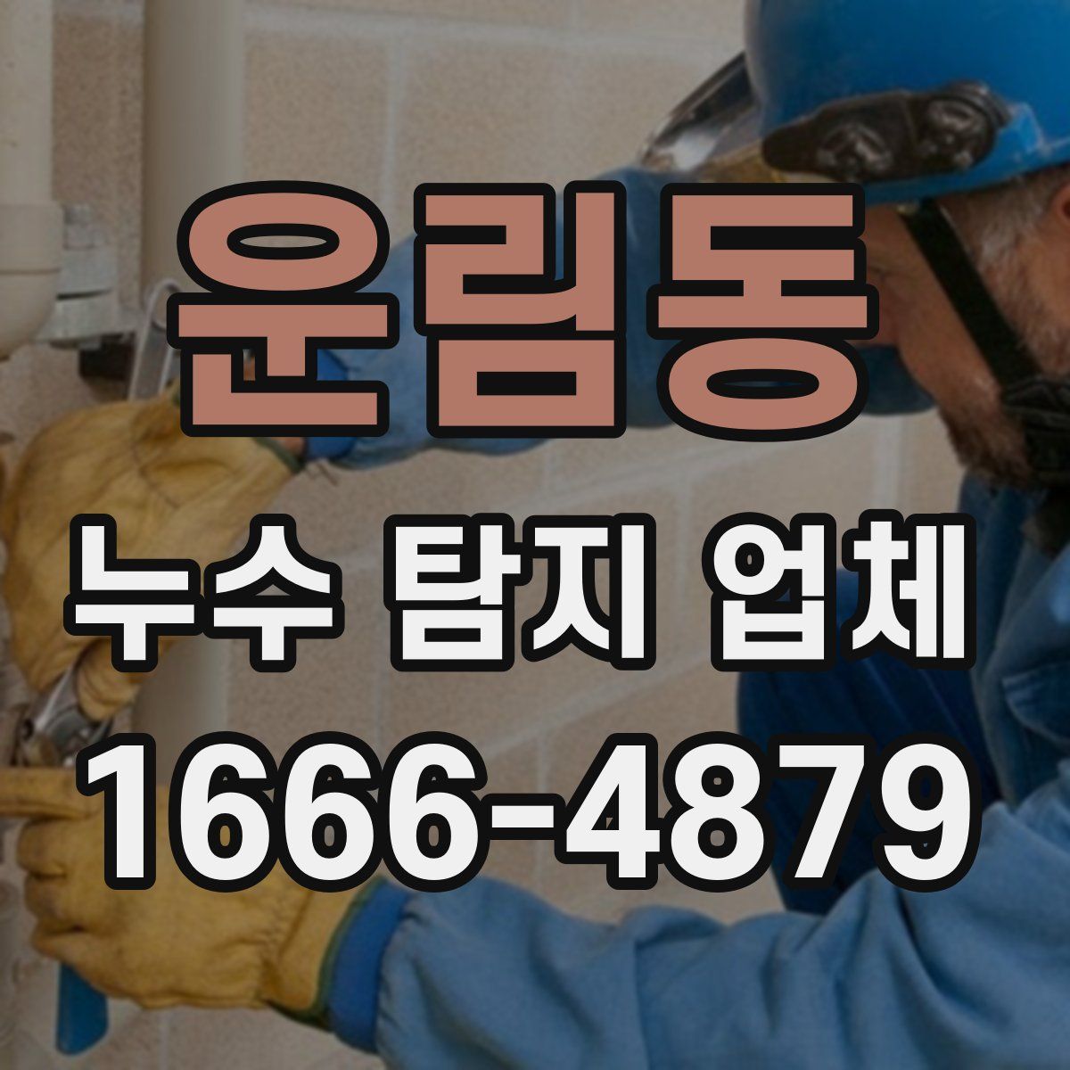 운림동 누수 탐지 업체