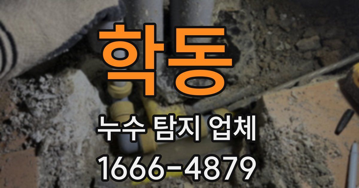 학동 누수 탐지 업체