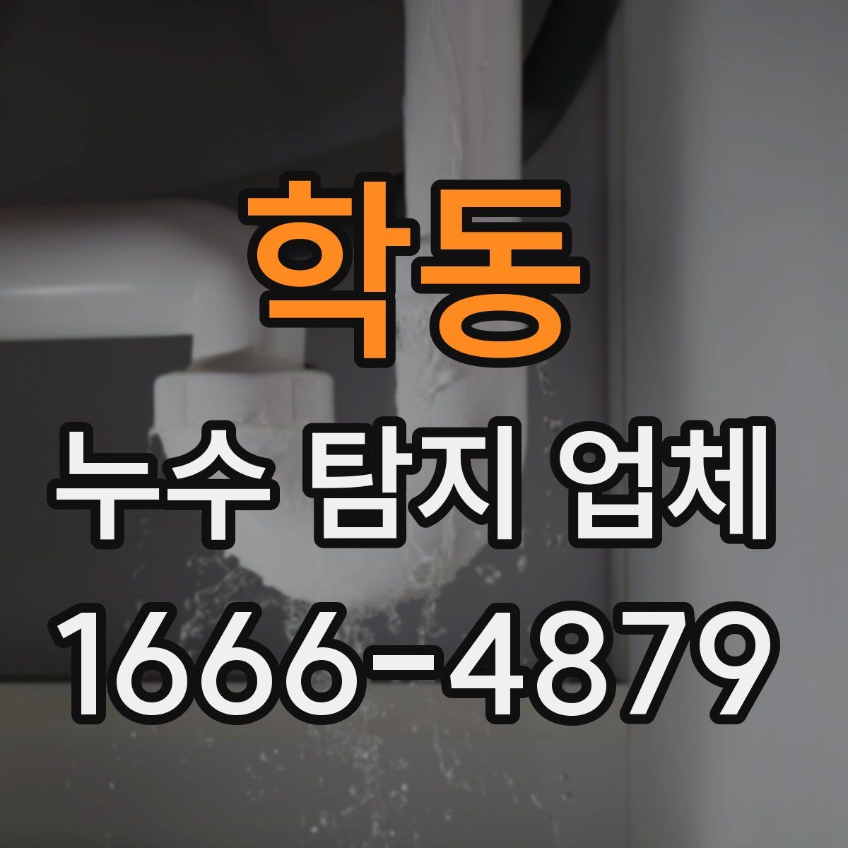 학동 누수 탐지 업체