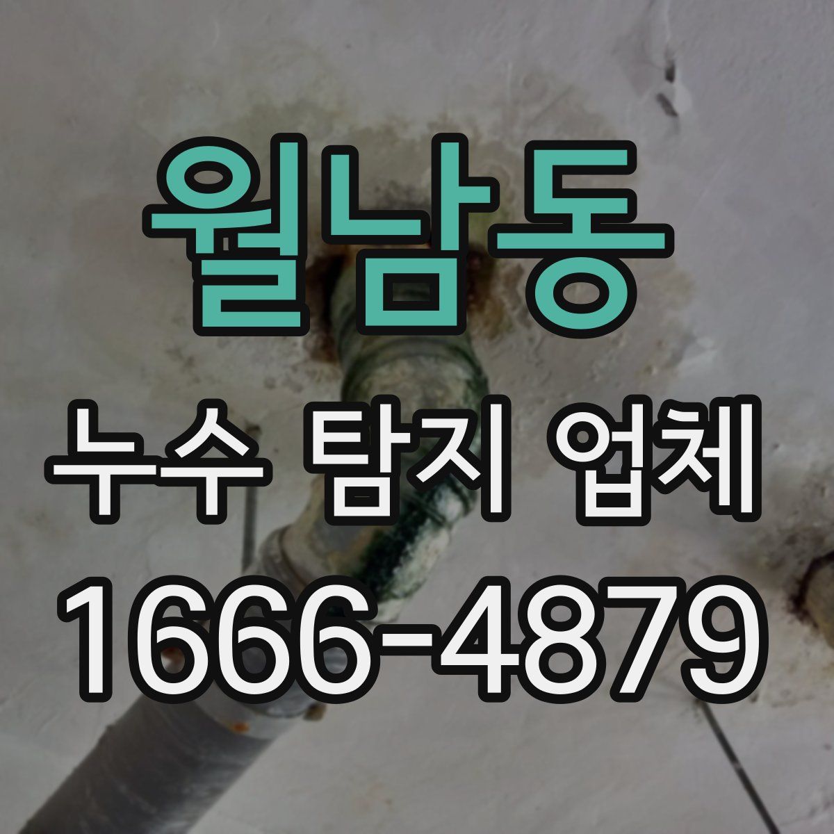 월남동 누수 탐지 업체
