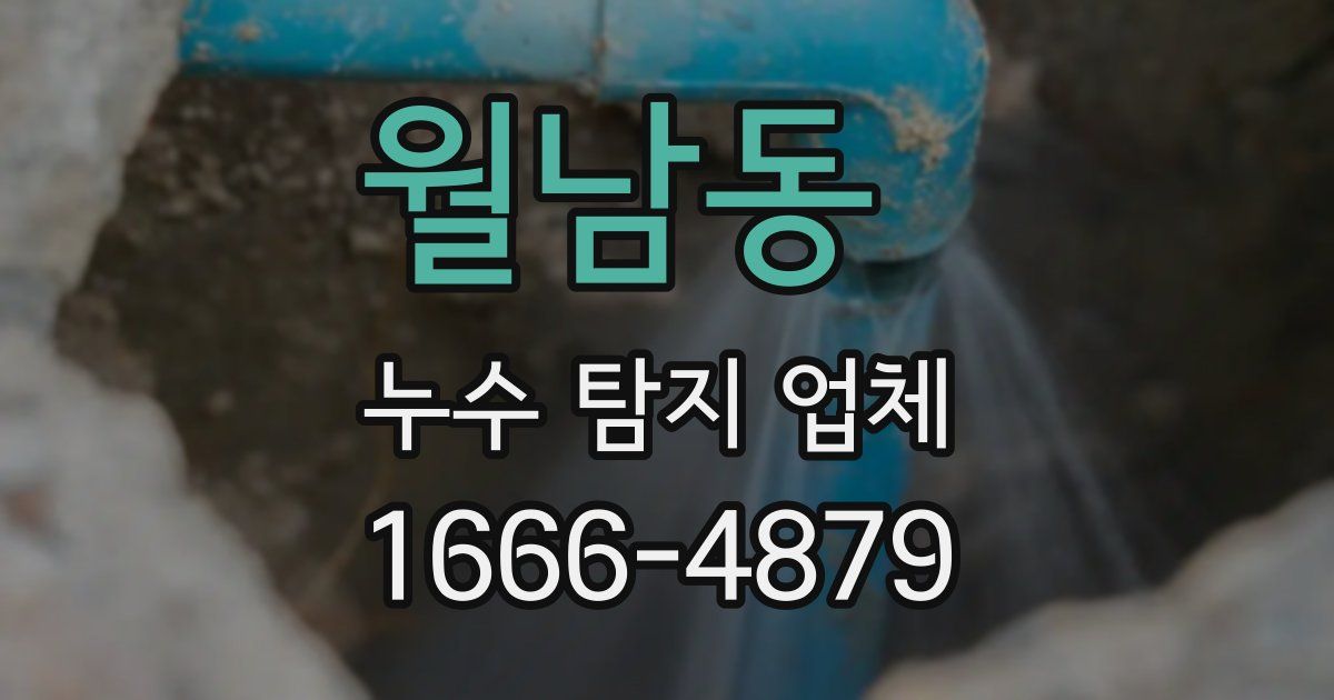 월남동 누수 탐지 업체